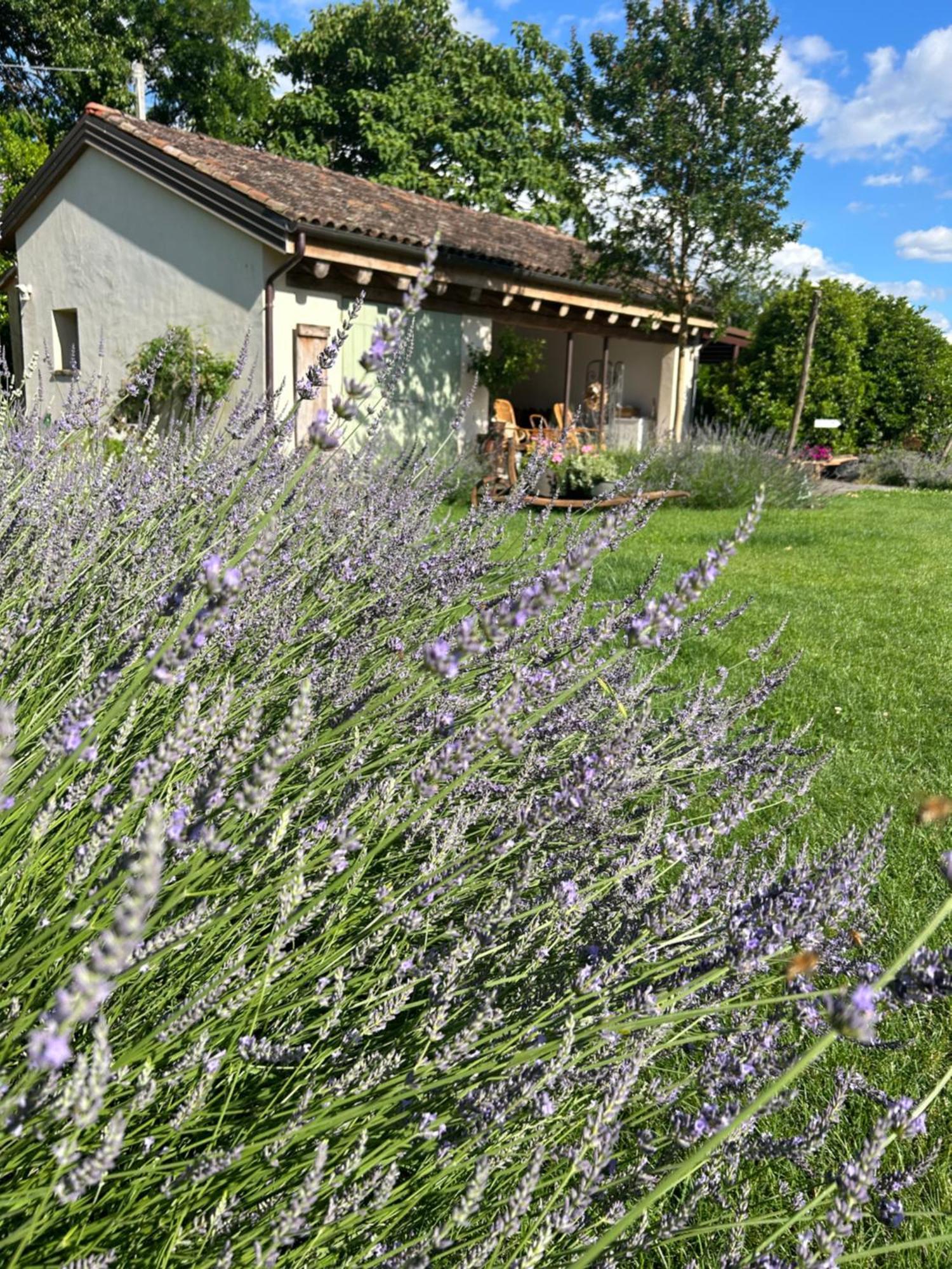 Il Glicine - Natural Bnb Castello Di Godego Exterior foto